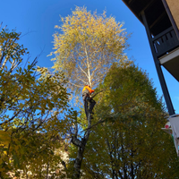 Potature piante , taglio erba e siepi