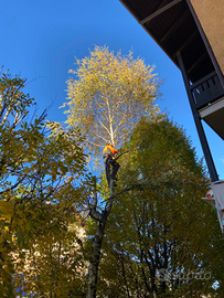 Potature piante , taglio erba e siepi