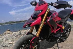 Forcelle ohlins per ducati hypermotard multistrada