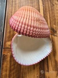 Conchiglia Porta gioie