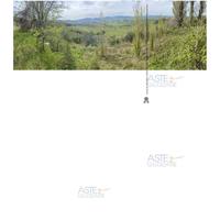 Terreno Agricolo Poggio San Marcello [A4309006]