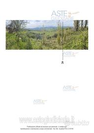 Terreno Agricolo Poggio San Marcello [A4309006]