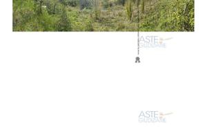 Terreno Agricolo Poggio San Marcello [A4309006]