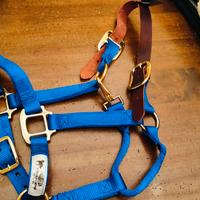 Cavezza  Nylon e pelle