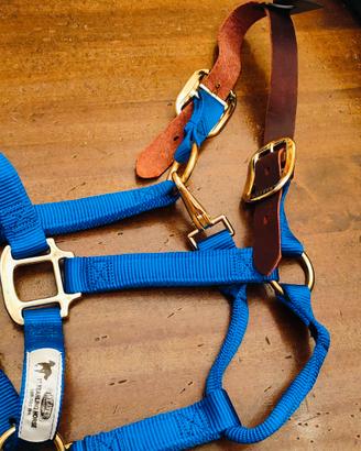 Cavezza  Nylon e pelle