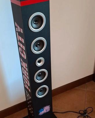 Cassa audio