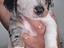 Immagine 5