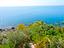 Immagine 18