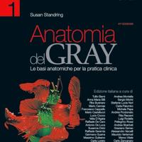 Anatomia del gray 41°edizione 