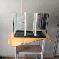 Vasca acquario diviso in tre