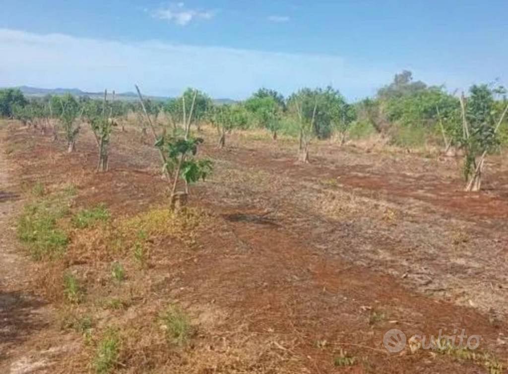 Immobile in asta di 8407 m² a Palagonia - Altro