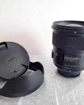 Sigma 24mm + 50mm Art + Nikon 35mm + 85mm