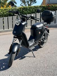 MOTORINO REGALATO