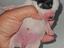 Immagine 6
