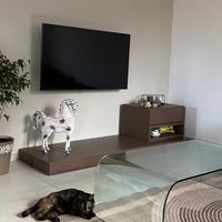 Mobile TV in legno.