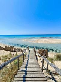 Casa vacanza in salento 4/5 posti letto