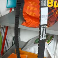 Cinghia distribuzione contitech fiat panda/punto