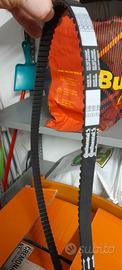 Cinghia distribuzione contitech fiat panda/punto