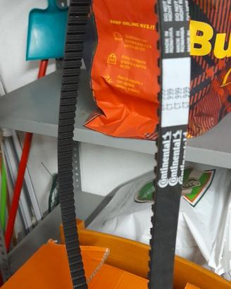 Cinghia distribuzione contitech fiat panda/punto