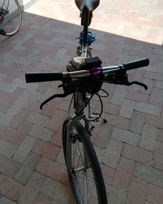 biciclette mtb