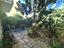 Immagine 26