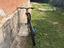 Immagine 6