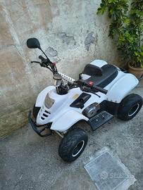 quad 110cc