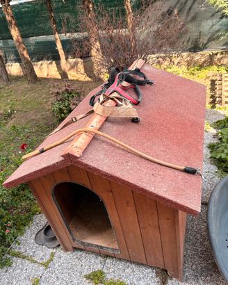 Cuccia + Cesta + Pettorine