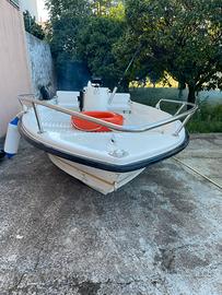 Barca a Motore con 40 Cv a 2 T Johnson