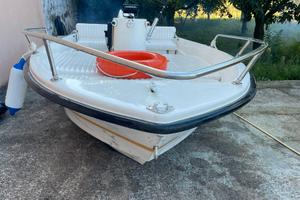 Barca a Motore con 40 Cv a 2 T Johnson