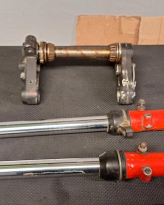 Forcelle e parafango per Fantic Trial 50 FM 330