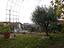 Immagine 29