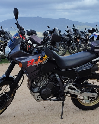 Honda Dominator Nx 650 Md02 '93 pronta all'uso