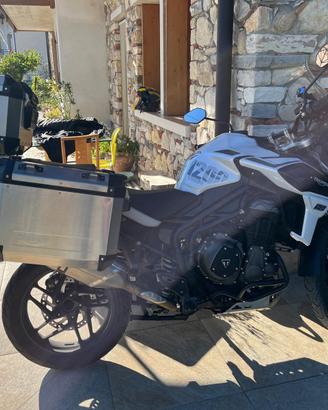Tiger 1200 SE Alpine edition