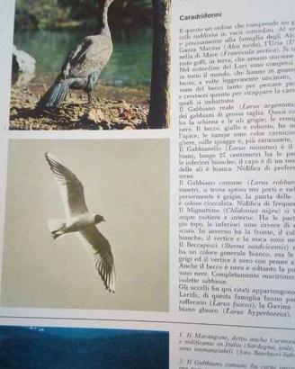Enciclopedia della caccia