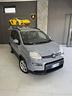 fiat-panda-1-0-firefly-s-s-hybrid-red