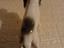 Immagine 4