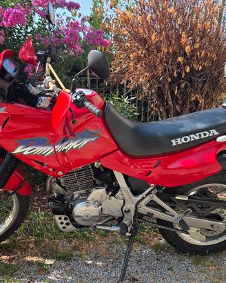 Honda dominator 