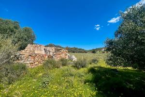 Terreno pianeggiante con rustico