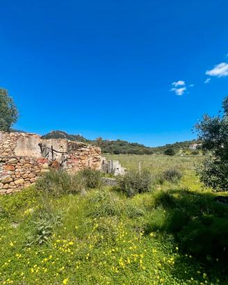 Terreno pianeggiante con rustico