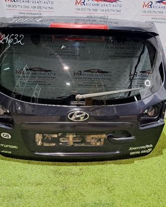 PORTELLONE POSTERIORE HYUNDAI Santa Fe 2° Serie 7