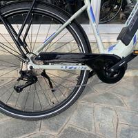 Atala Cult 6.2