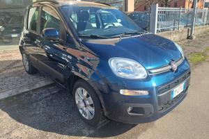 Panda 1.2 Lonuge anno 2018