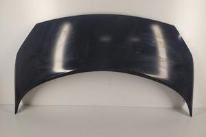 Cofano RENAULT SCENIC II '03