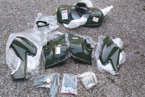 kit set plastiche Honda trx rincon 680 verde