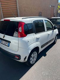 Macchina fiat panda
