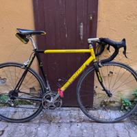 Bici da Corsa in Alluminio - Raschiani