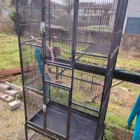 gabbia per ratti o uccellini