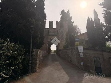 3 LOCALI A VALSAMOGGIA