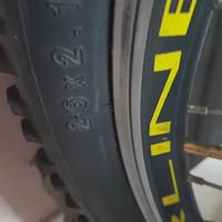 Bicicletta bottecchia fx510